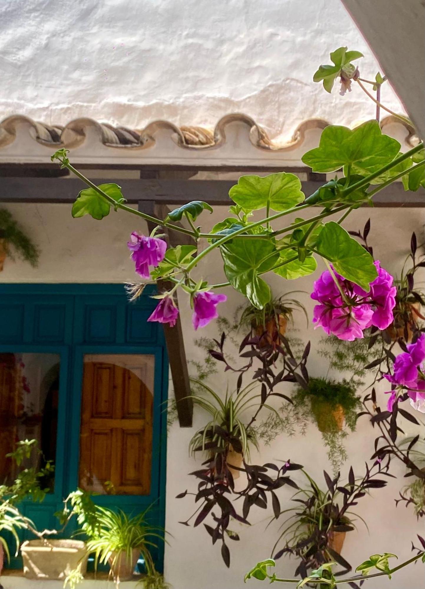 La Buganvilla De Santiago Córdoba Kültér fotó