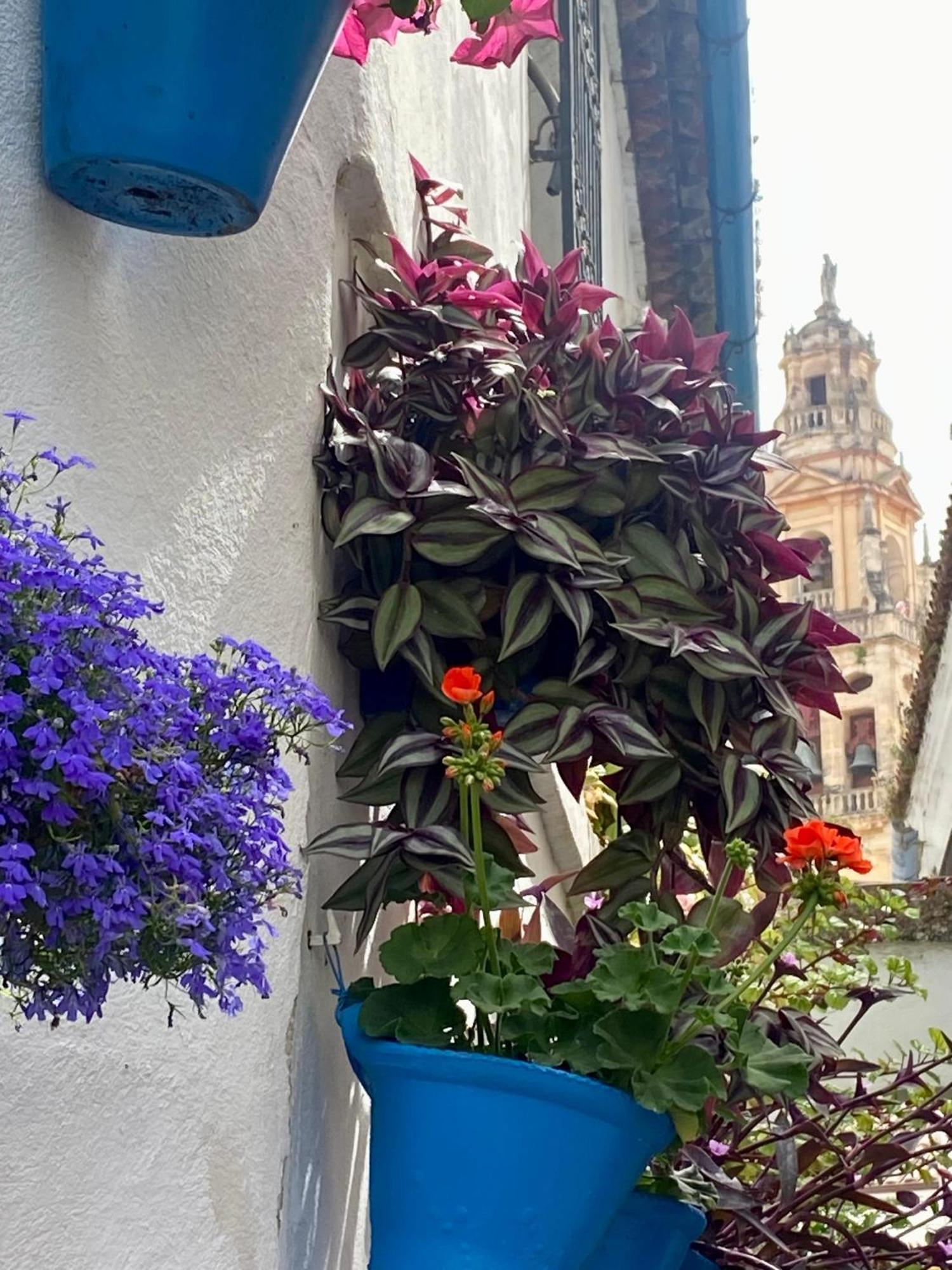 La Buganvilla De Santiago Córdoba Kültér fotó
