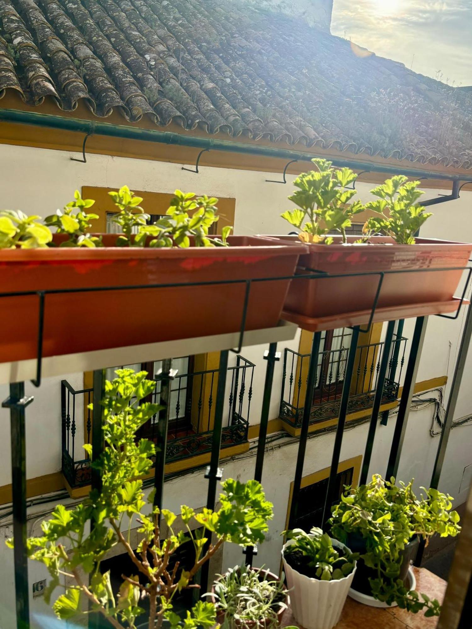 La Buganvilla De Santiago Córdoba Kültér fotó