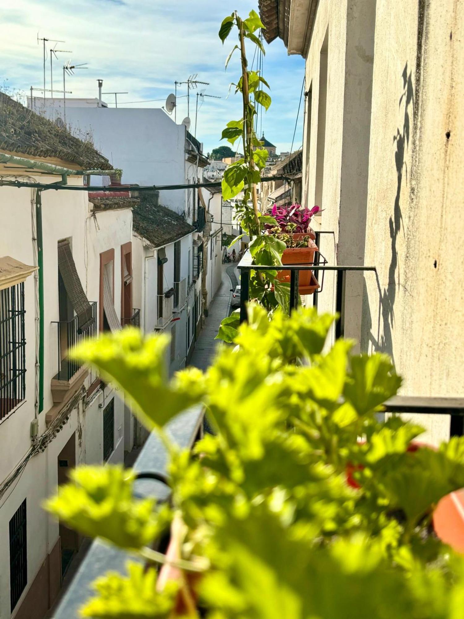 La Buganvilla De Santiago Córdoba Kültér fotó